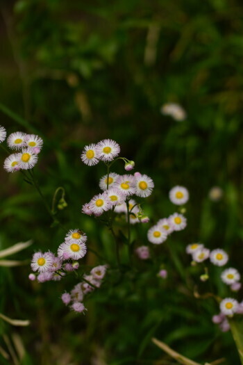 DSC02472.JPG