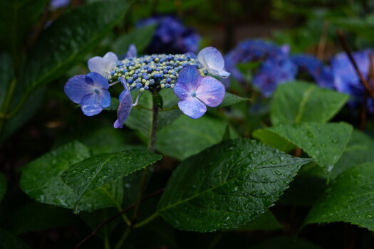 DSC03840.JPG
