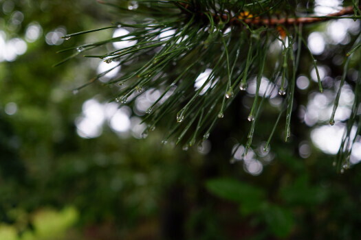 DSC03843.JPG