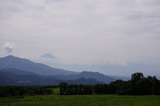 DSC06757.JPG