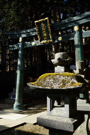 DSC06883.JPG