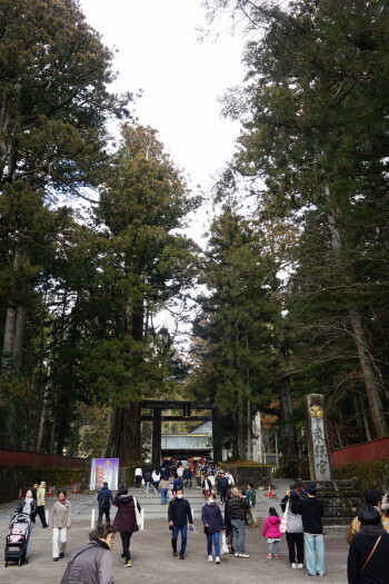 DSC06911.JPG