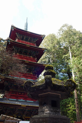 DSC06919.JPG
