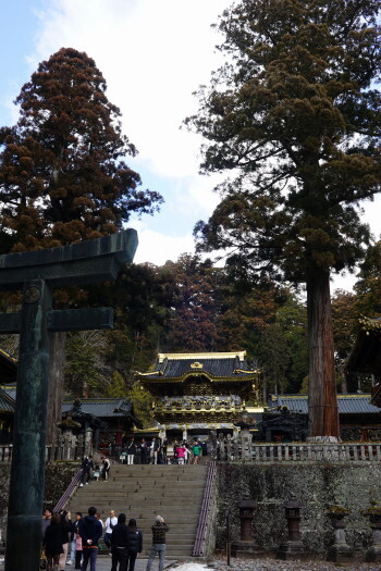 DSC06932.JPG