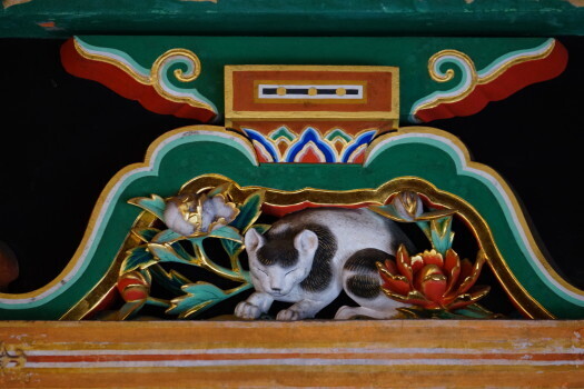 DSC06939.JPG