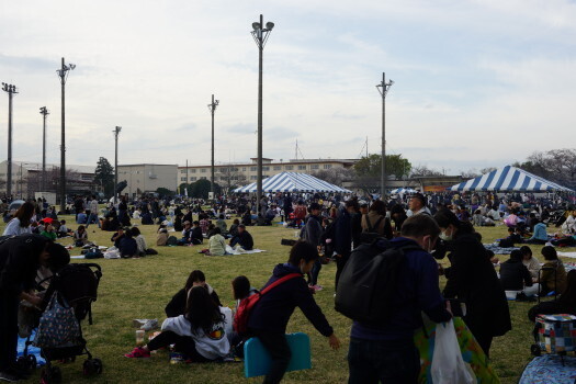 DSC07124.JPG