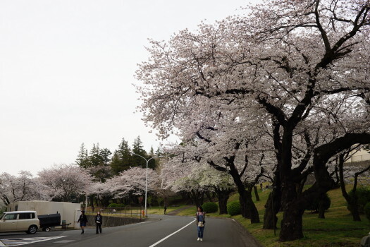 DSC07144.JPG