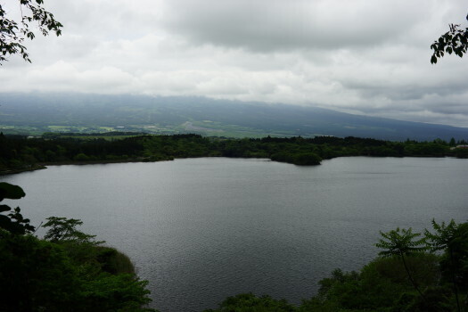 DSC07165.JPG
