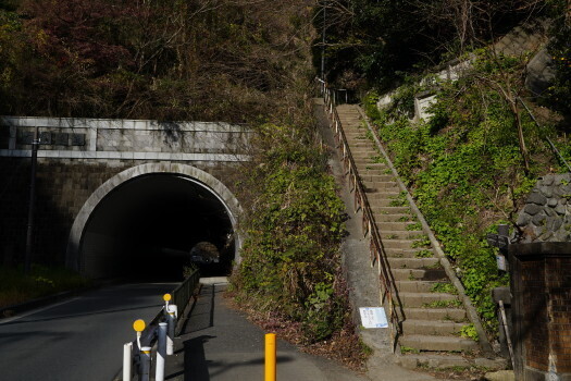 DSC07253.JPG