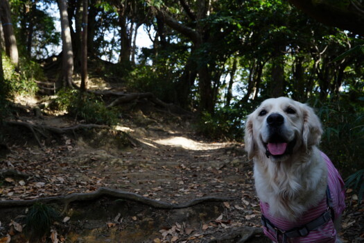 DSC07256.JPG