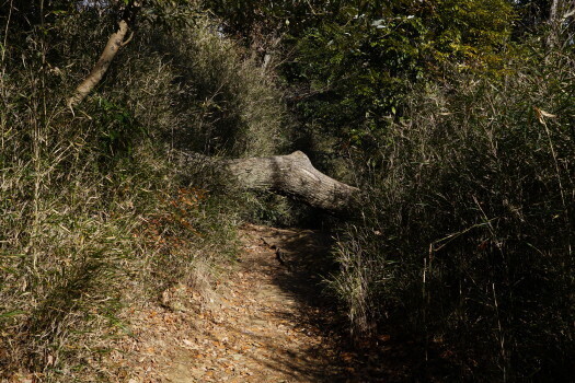 DSC07263.JPG
