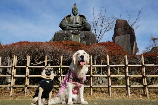 DSC07268.JPG