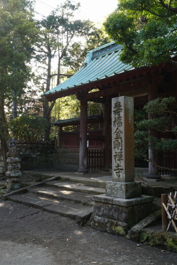 DSC07302.JPG