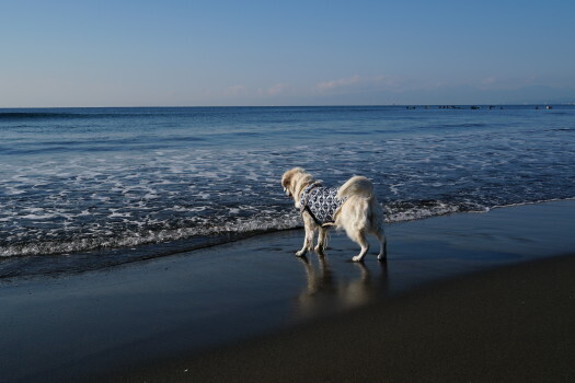 DSC08298.JPG