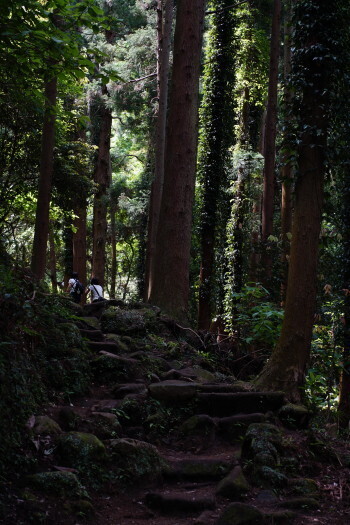 DSC08641.JPG