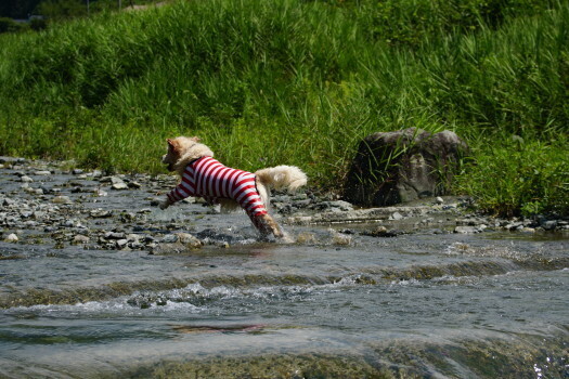 DSC09009.JPG